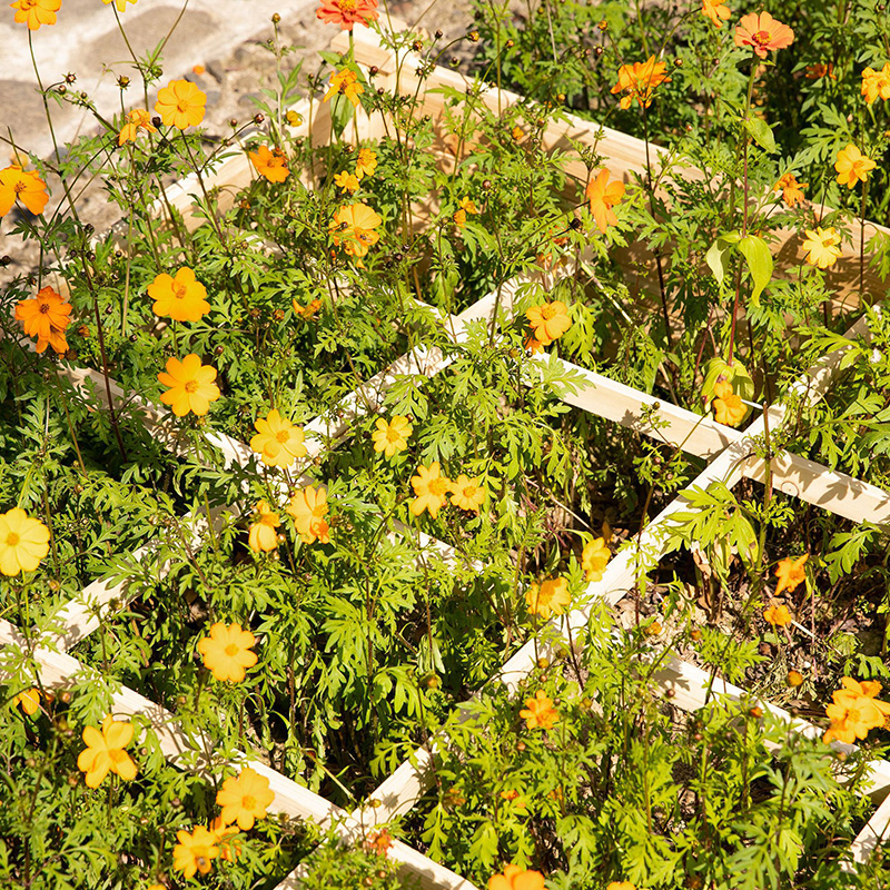 3,9 ft x 3,9 ft upphöjd trädgårdsbäddlåda med segmenterat odlingsnät, trämaterial för trädgårdsväxter och örter